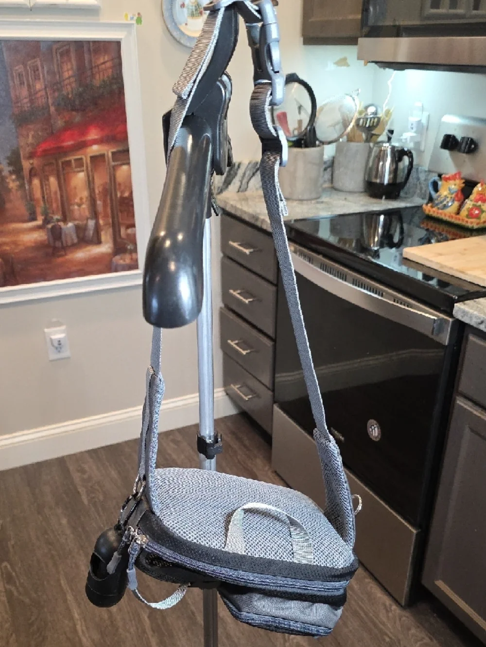 Gray & Black Travel Pet Carrier Pouch NEVER USED!
